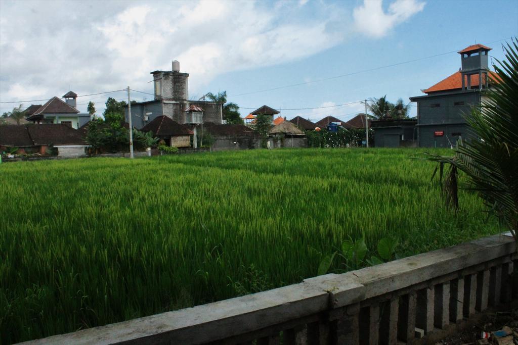 Cenik House Ubud Exterior foto
